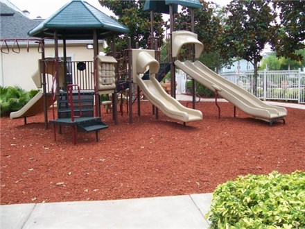 Children's Playground Children's Playground
