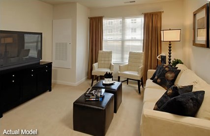 Spacious Living Room Spacious Living Room