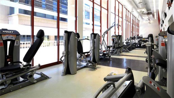 Gym Gym