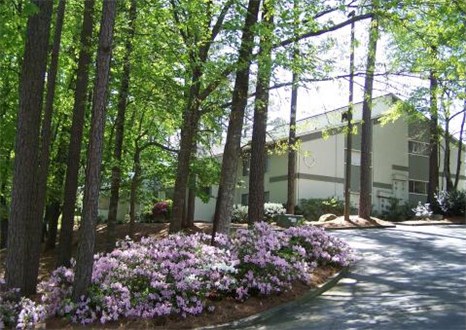 Wooded Setting Wooded Setting
