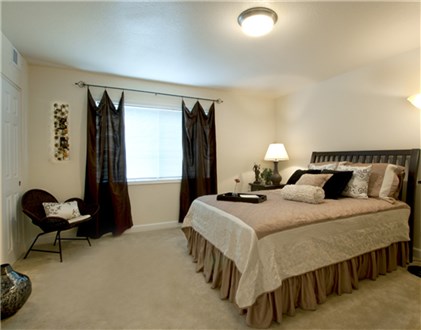 Large Bedrooms Large Bedrooms
