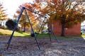 Swings Swings
