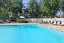 Large Swimming Pool Large Swimming Pool