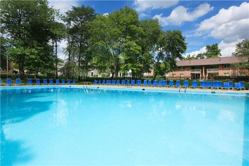 Shimmering Pool Shimmering Pool