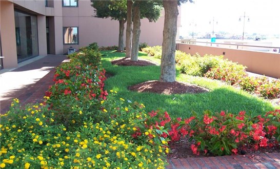 Professionally Landscaped Grounds Professionally Landscaped Grounds