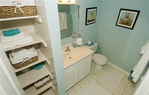 Bath with Linen Closet Bath with Linen Closet