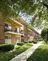 Mature Landscaping Mature Landscaping