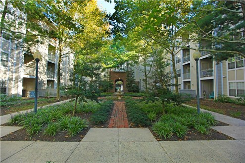 Courtyard Area Courtyard Area
