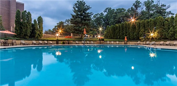 Olympic Sized Pool Olympic Sized Pool