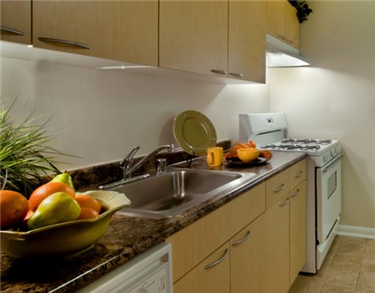 Kitchen Kitchen