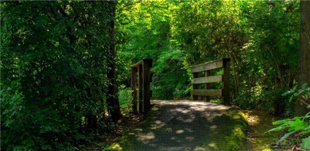 Walking Trails Walking Trails