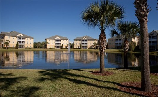 40 Acres of Natural Wetland 40 Acres of Natural Wetland