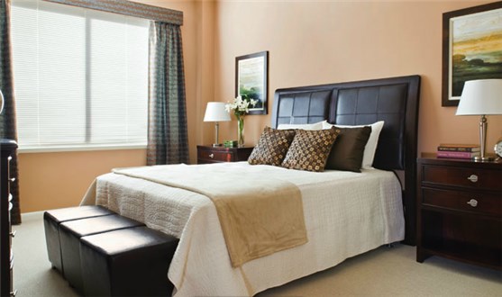 Large Bedrooms Large Bedrooms