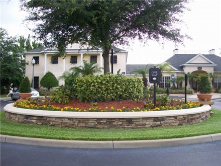 Lush Landscaping Lush Landscaping