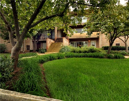 Professional Landscaping Professional Landscaping