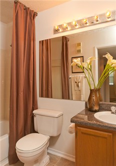 Bathroom Bathroom