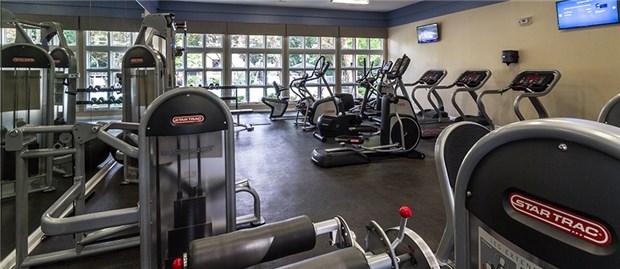 Fitness Fitness