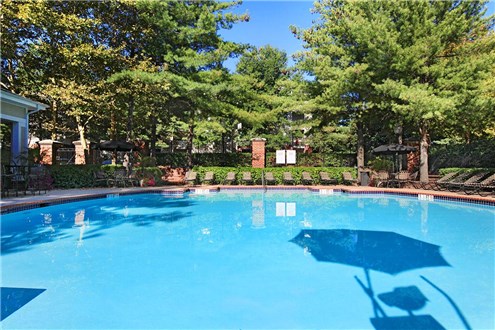 Sparkling Pool Sparkling Pool