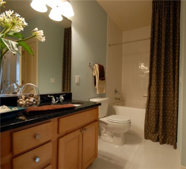Large Bathrooms Large Bathrooms