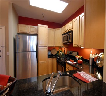 Spacious Kitchen Spacious Kitchen