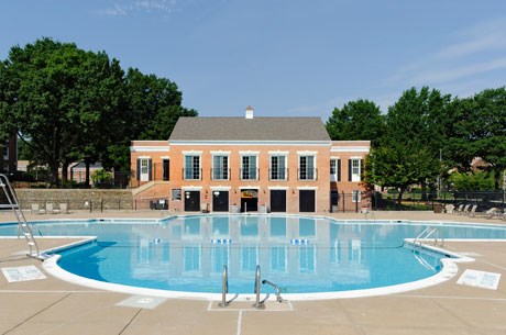 Swimming Pool View 