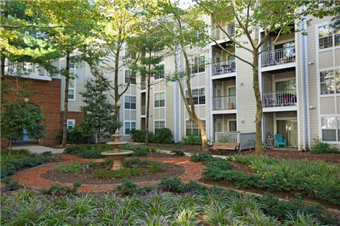 Lush Landscaping Lush Landscaping