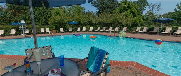 Resort Like Swimming Pool Resort Like Swimming Pool