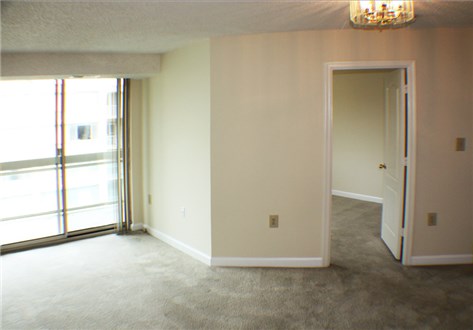 Plush Carpeting Plush Carpeting