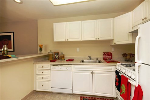 Kitchen Kitchen