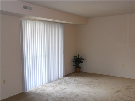 Window Coverings Window Coverings