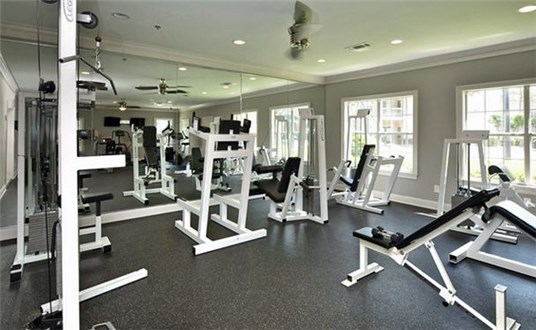 Circuit Weights Circuit Weights