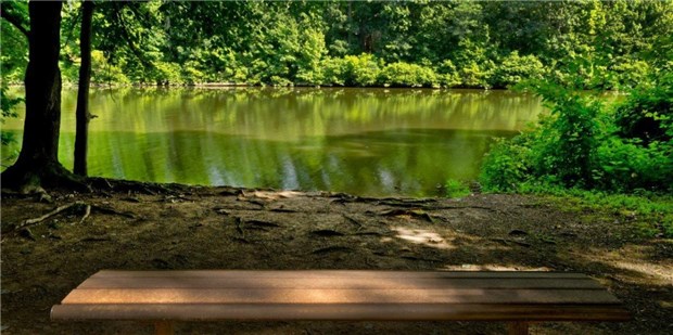 Lake Lake