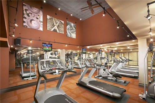 Fitness Fitness