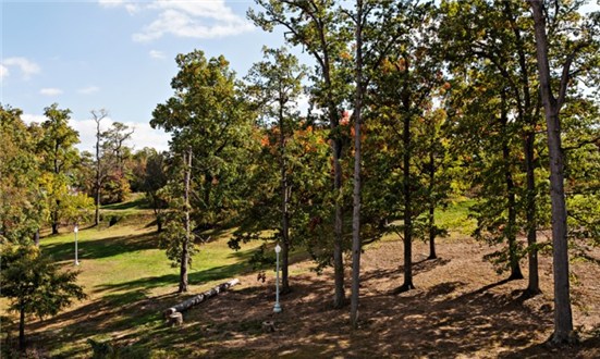 Green Area Green Area