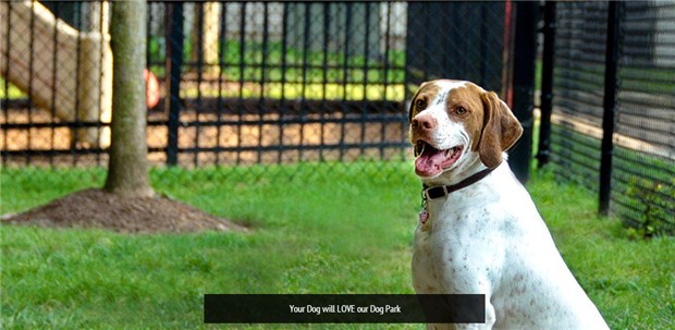Pet Friendly Pet Friendly