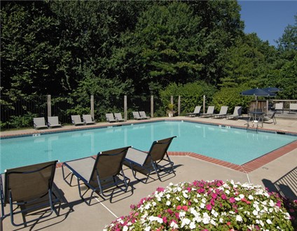 Swimming Pool Swimming Pool