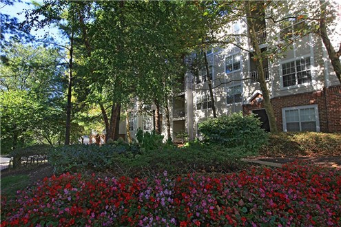 Professional Landscaping Professional Landscaping