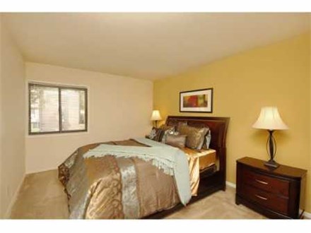 Spacious Bedrooms Spacious Bedrooms
