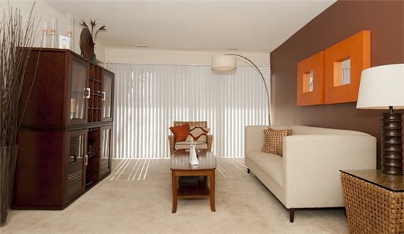 Spacious Living Room Spacious Living Room