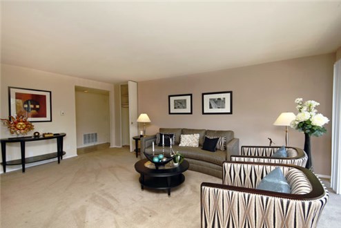 Open Living Area Open Living Area