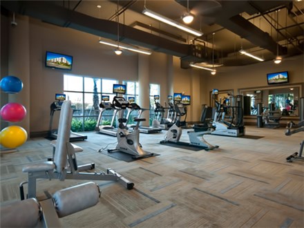 Large Fitness Center Large Fitness Center