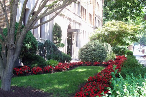 Landscaping Landscaping