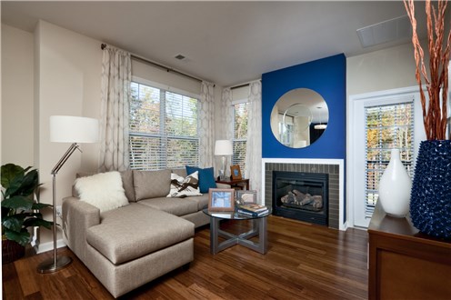 Gas Fireplaces in Every Home Gas Fireplaces in Every Home