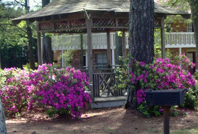 Atlanta Apartments
