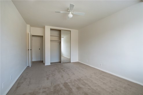 Plush Carpeting Plush Carpeting