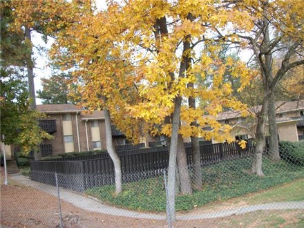 Mature Landscaping Mature Landscaping