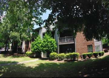 Lush Landscaping Lush Landscaping