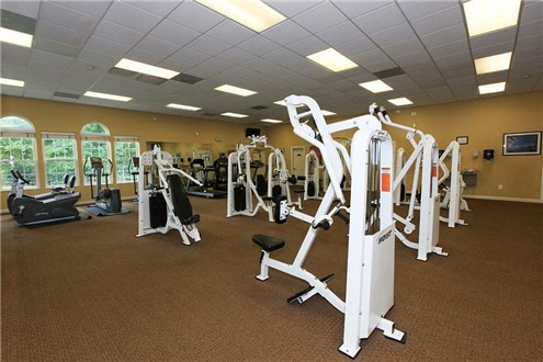 Workout Equipment Workout Equipment