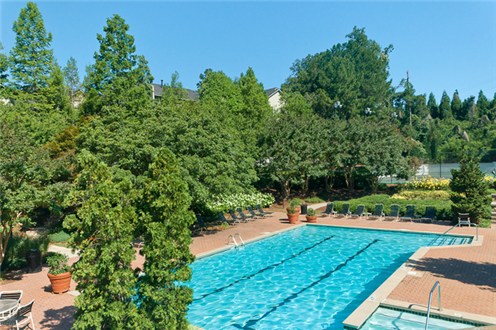 Lap pool Lap pool