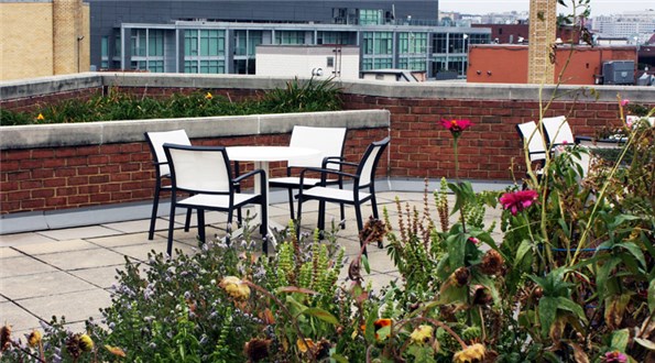 Sundeck Garden Sundeck Garden